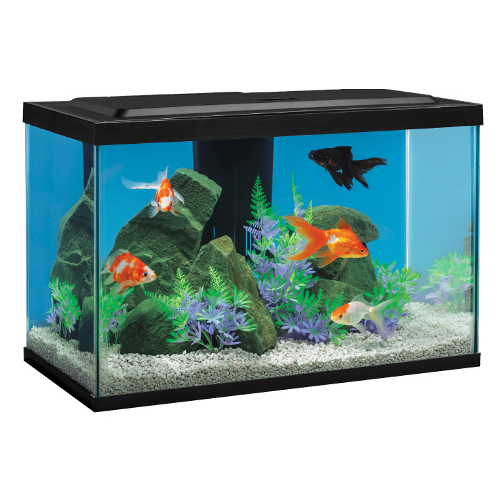Goldfish LED Kit 20 gal Tetra